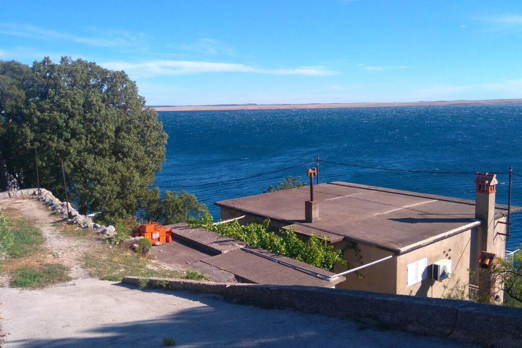Apartment Lisarica Starigrad Paklenica Eksteriør bilde