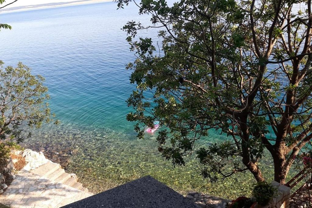 Apartment Lisarica Starigrad Paklenica Eksteriør bilde
